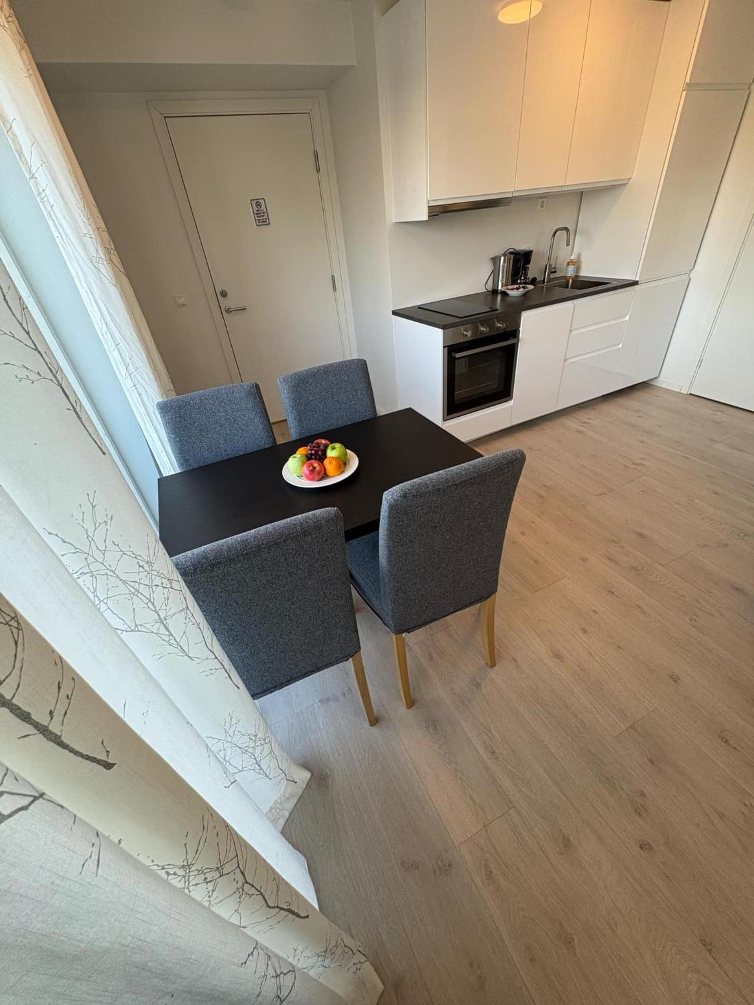 Lisas Apartment, Private New 1 Bedroom And 1 Living With Sofa Bed And Big Windows, Share With Nobody Oslo